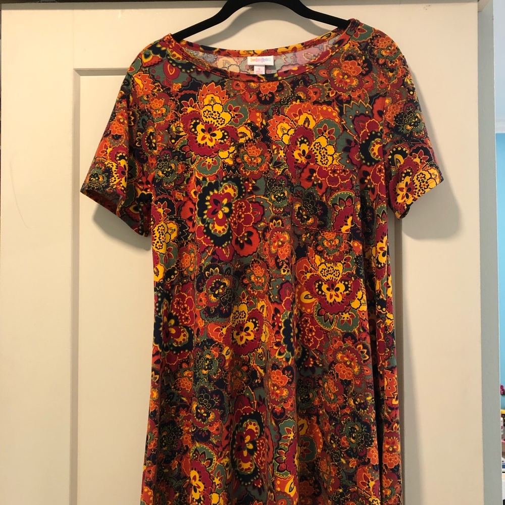 LuLaRoe Carly Swing Dress size Small w/ pocket